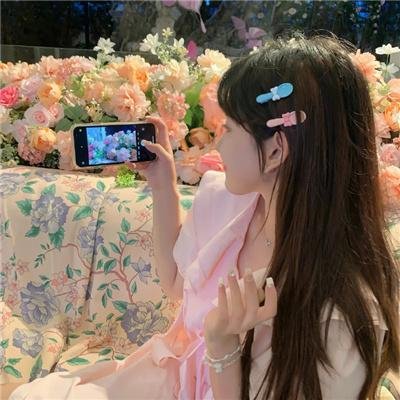 还珠记