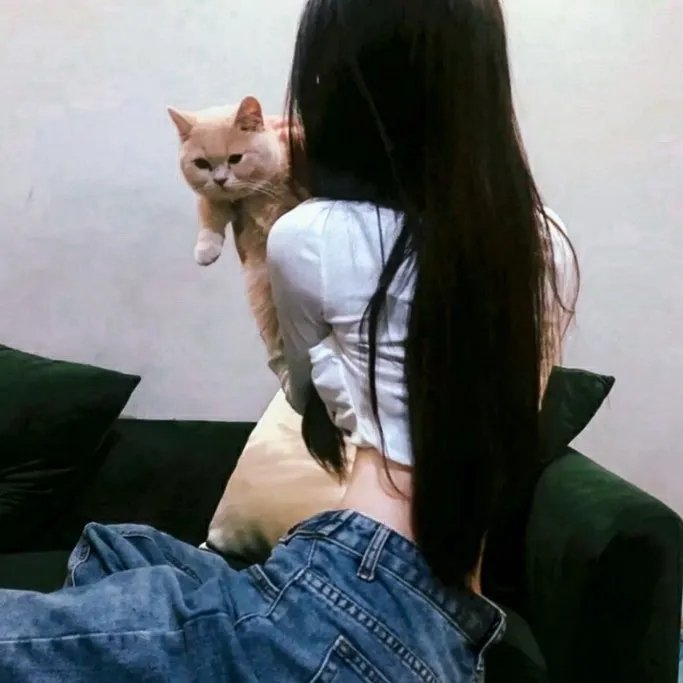 风骚律师第四季
